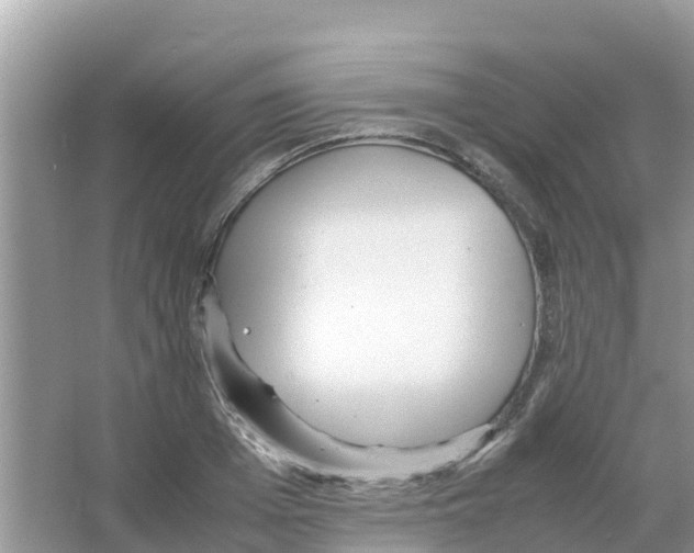 X0000066020985200603312044