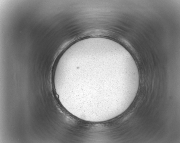 X0000066020986200603312044