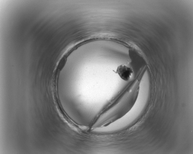 X0000066020989200603312044