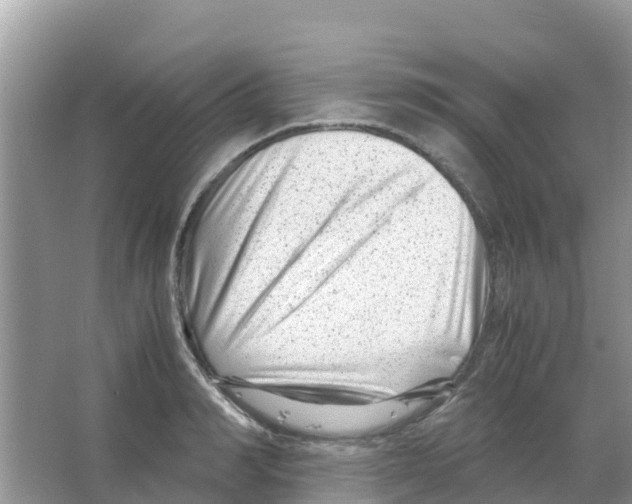 X0000066020990200603312044