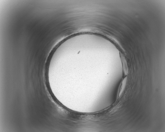 X0000066020991200603312044