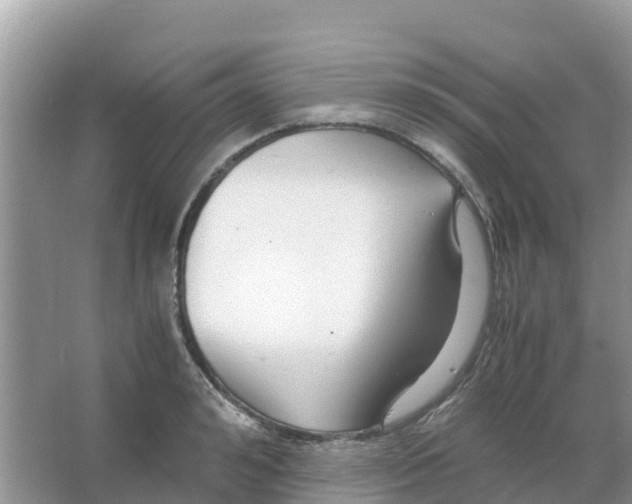 X0000066020992200603312044