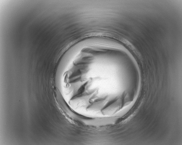 X0000066020993200603312044