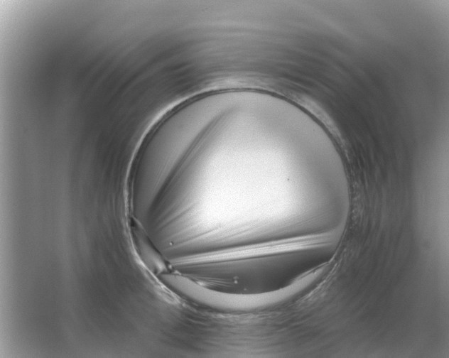 X0000066020996200603312044