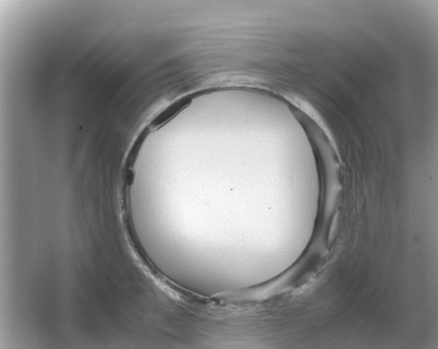 X0000066020997200603312044