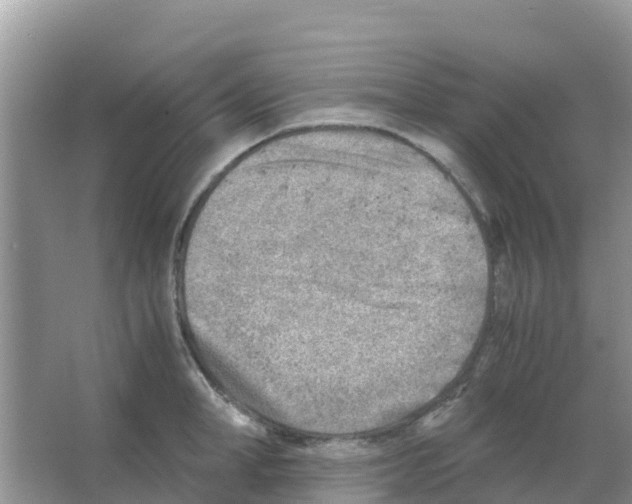 X0000066020998200603312044