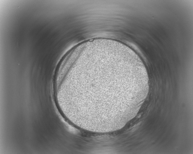 X0000066020999200603312044