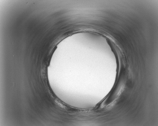 X0000066021001200603312044