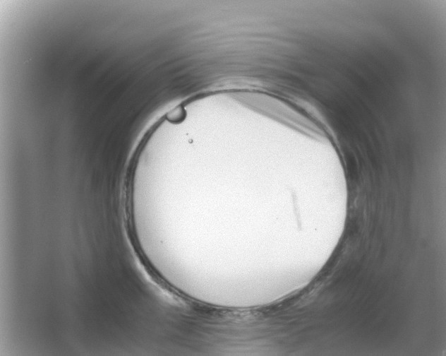 X0000066021003200603312044