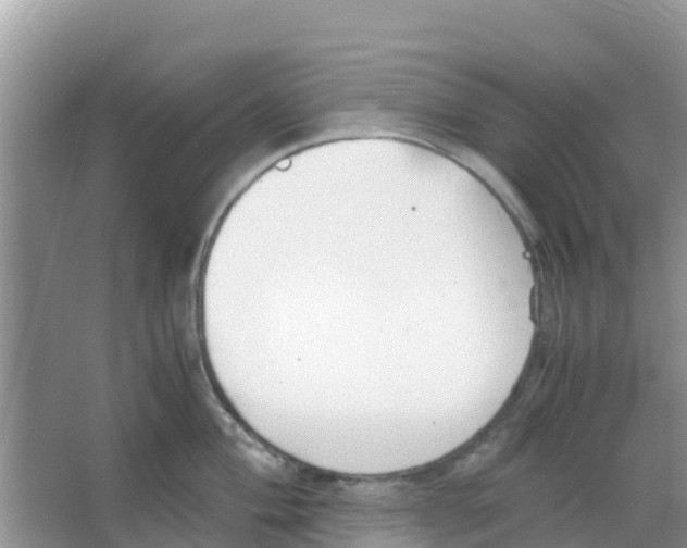 X0000066021004200603312044