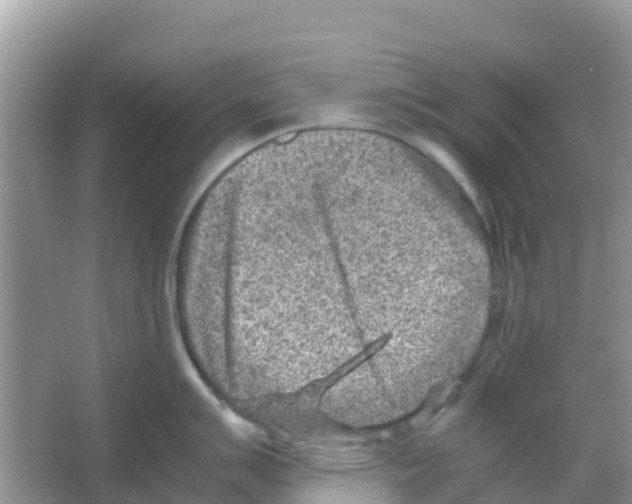 X0000066021007200603312044