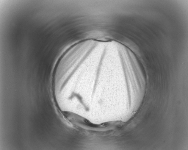 X0000066021008200603312044