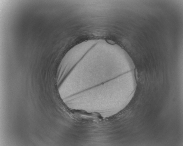 X0000066021009200603312043