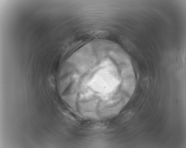 X0000066021010200603312043