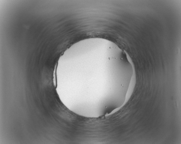 X0000066021012200603312043