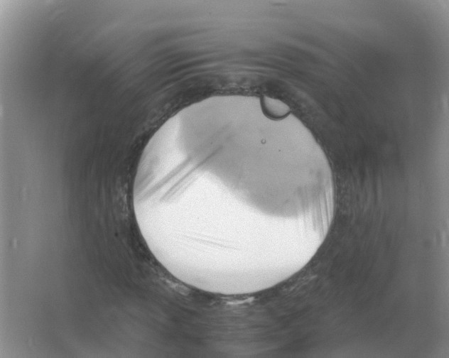 X0000066021013200603312043