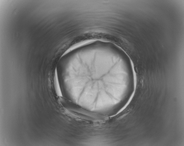 X0000066021014200603312043