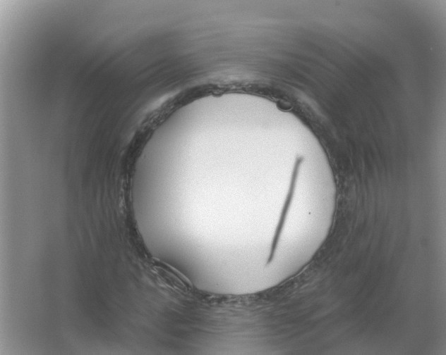 X0000066021016200603312043