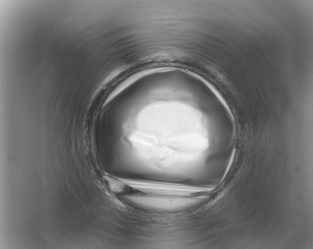 X0000066021018200603312043