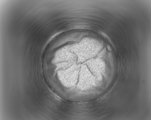 X0000066021019200603312043