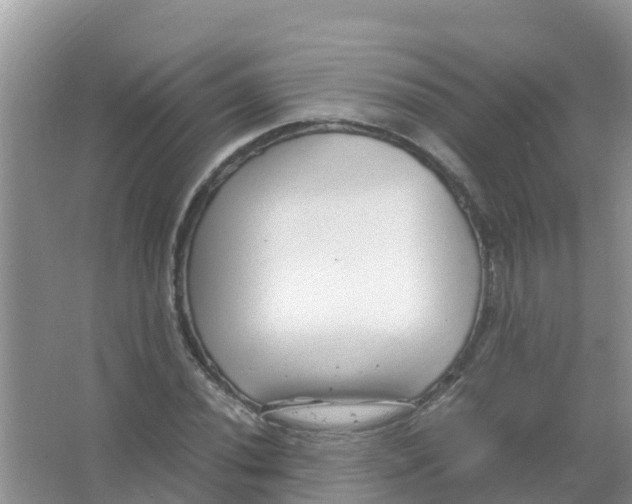 X0000066021020200603312043