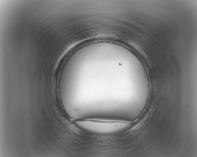 X0000066021021200603312043