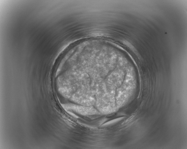 X0000066021023200603312043