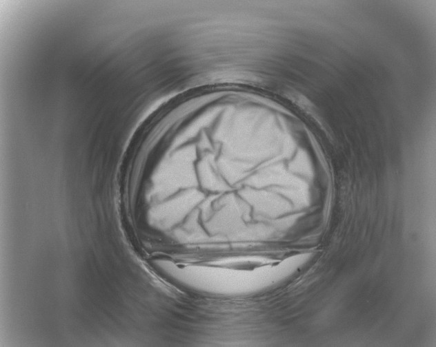 X0000066021024200603312043