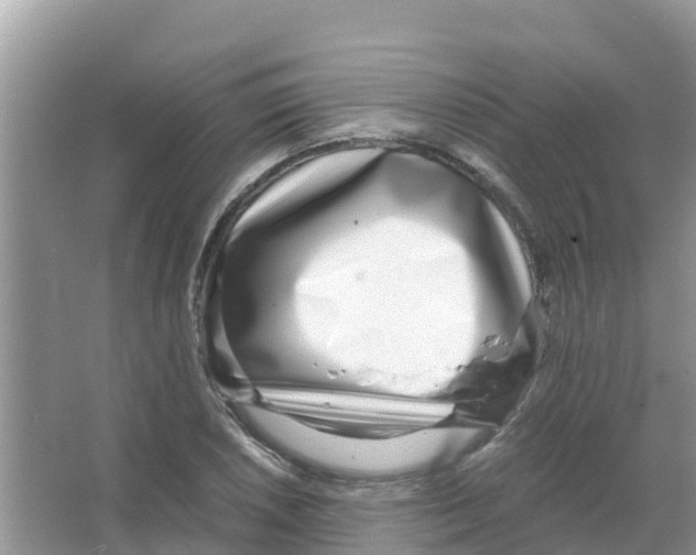 X0000066021026200603312043