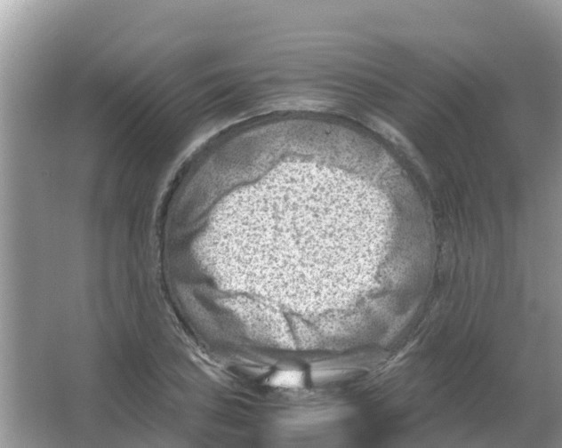 X0000066021027200603312043