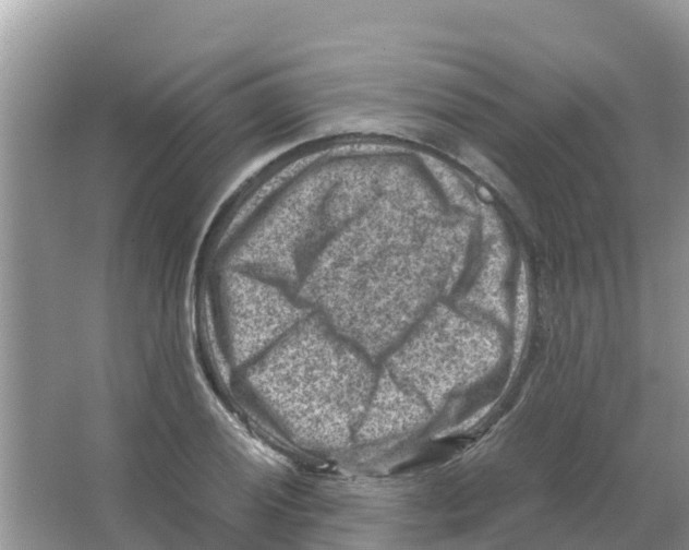 X0000066021028200603312043