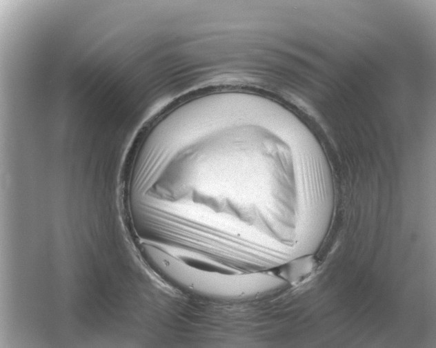 X0000066021029200603312043