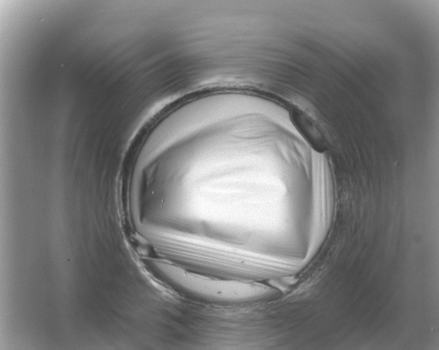 X0000066021030200603312043