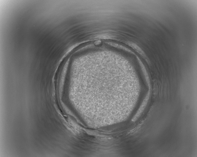 X0000066021031200603312043