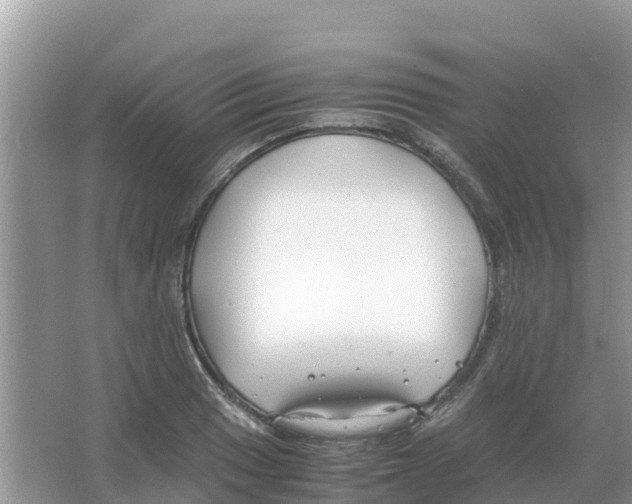 X0000066021033200603312043