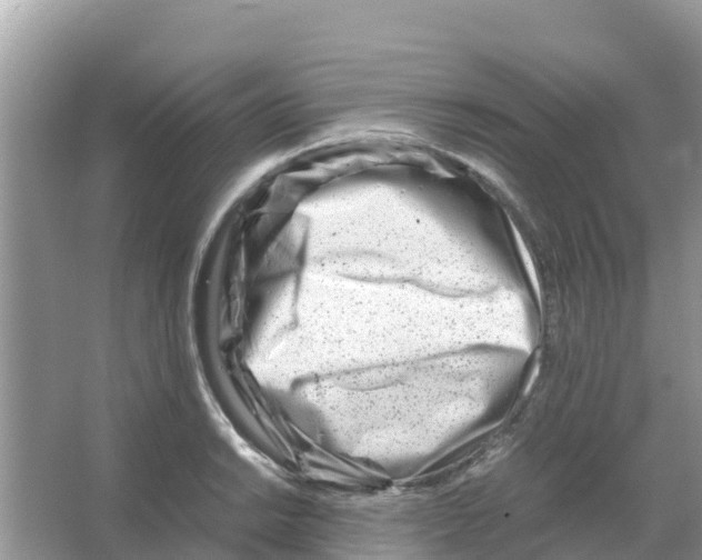 X0000066021038200603312044