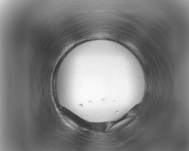 X0000066021039200603312044