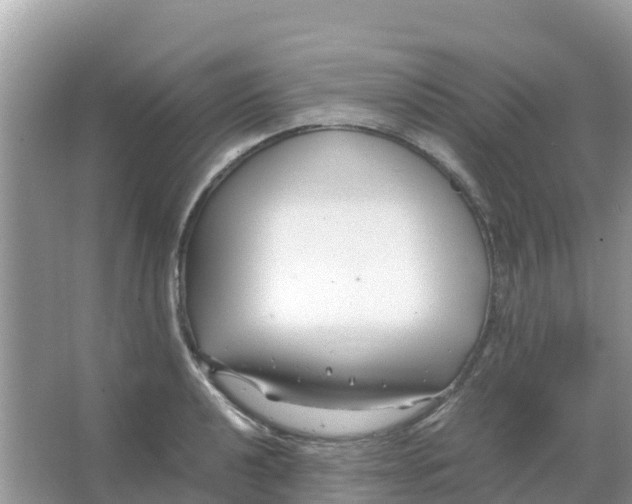 X0000066021040200603312044