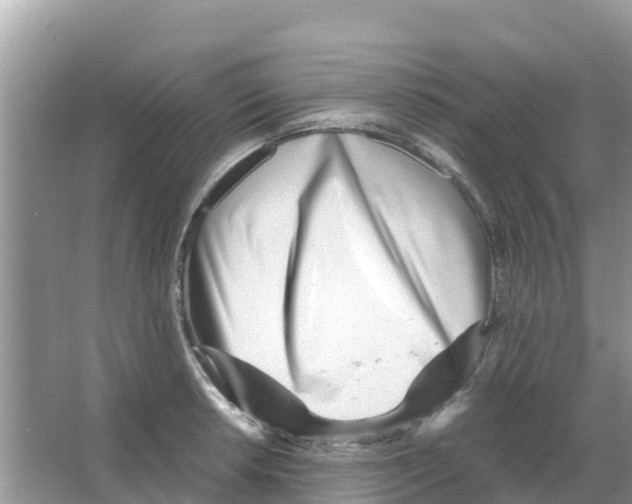 X0000066021042200603312044