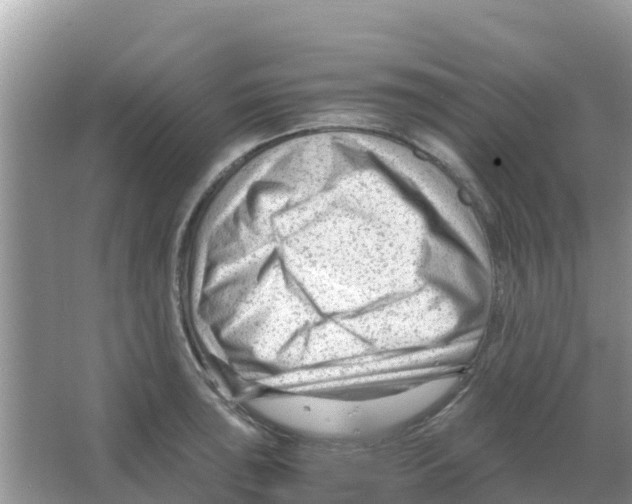 X0000066021043200603312044