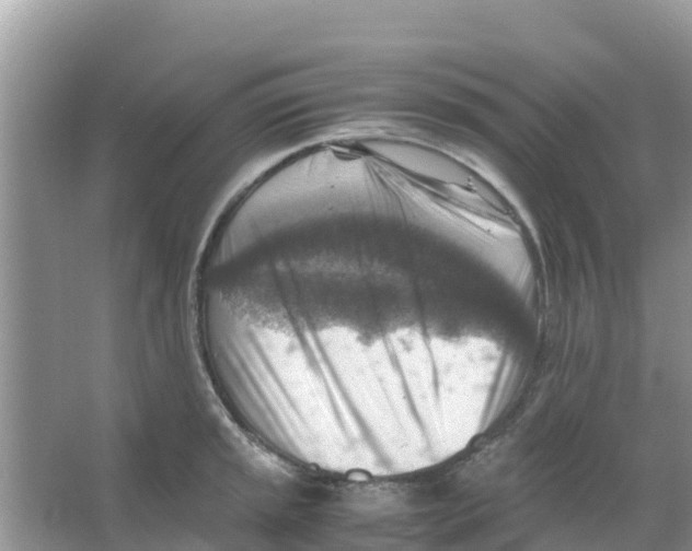 X0000066021045200603312044