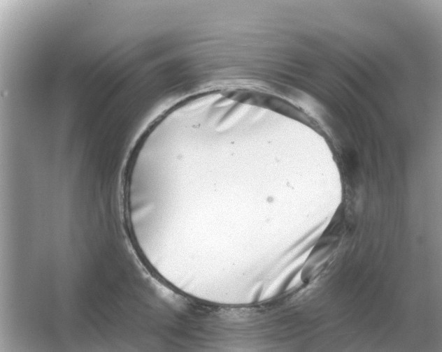 X0000066021046200603312044