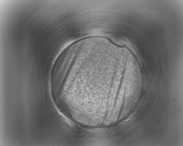 X0000066021048200603312044