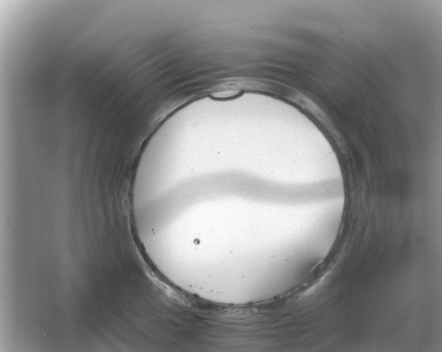 X0000066021049200603312044