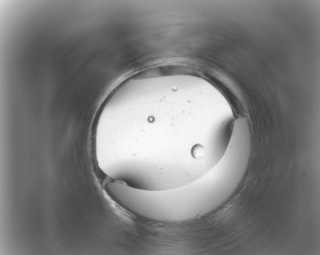 X0000066021050200603312044