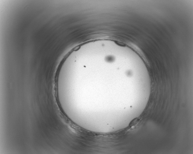 X0000066021051200603312044