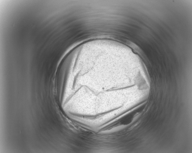 X0000066021052200603312044