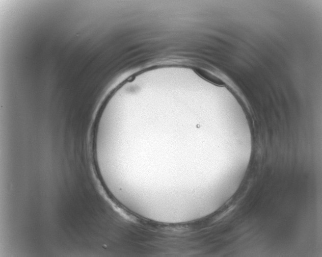 X0000066021053200603312044