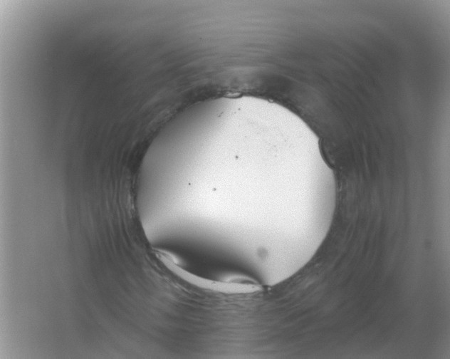 X0000066021058200603312043