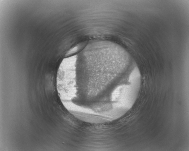 X0000066021060200603312043